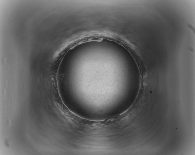 X0000099481496200805161122
