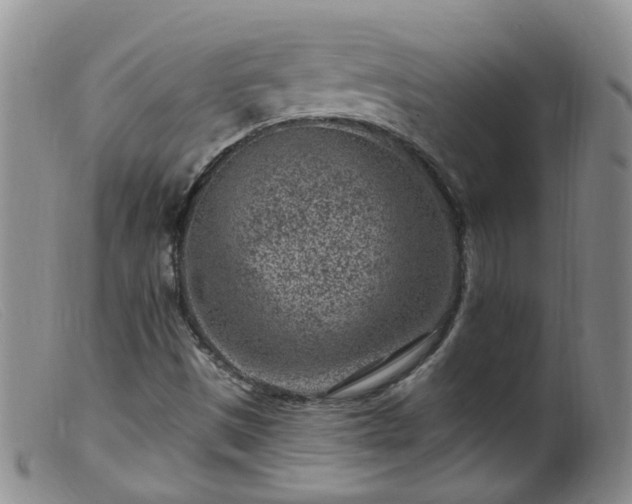 X0000099481497200805161122