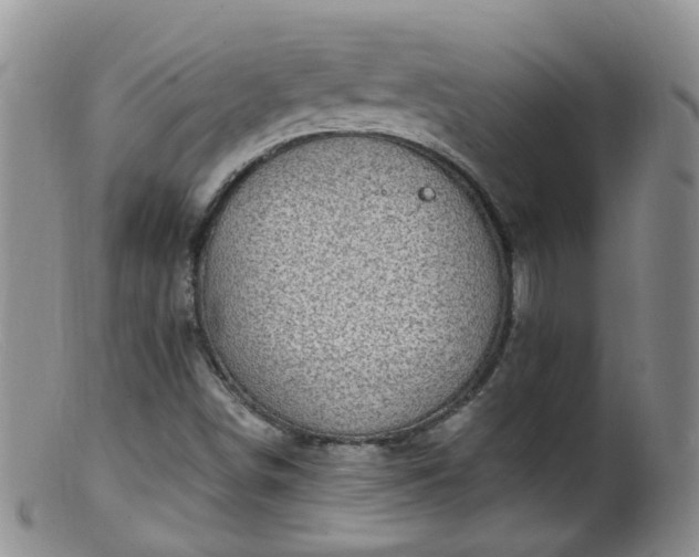 X0000099481498200805161122