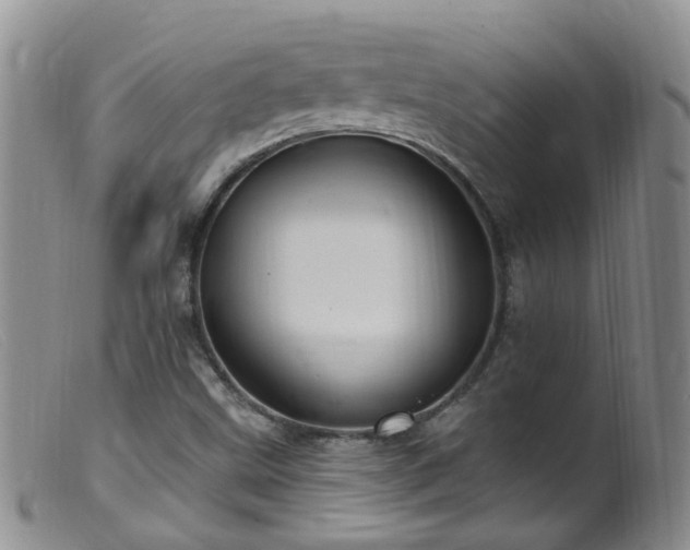 X0000099481499200805161122