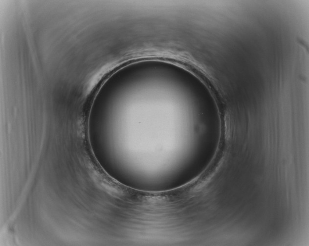 X0000099481501200805161122