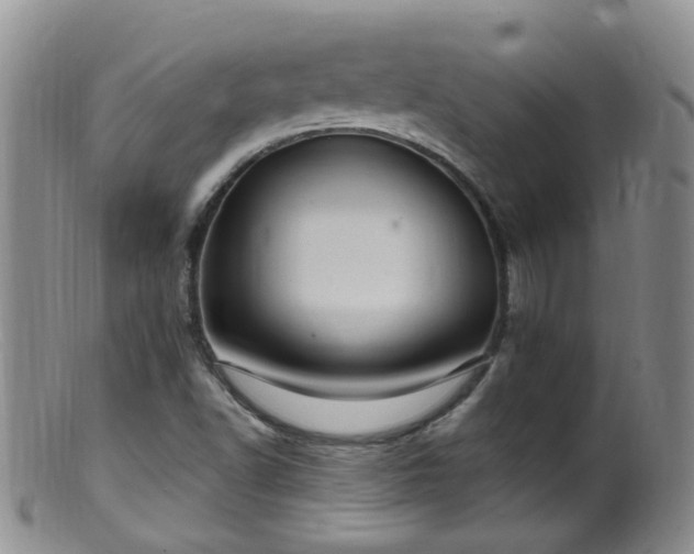 X0000099481502200805161122