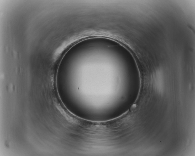 X0000099481503200805161122