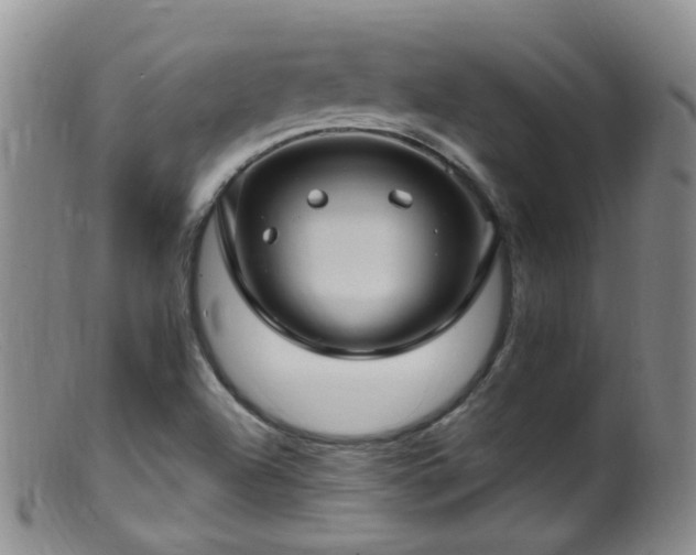 X0000099481504200805161122