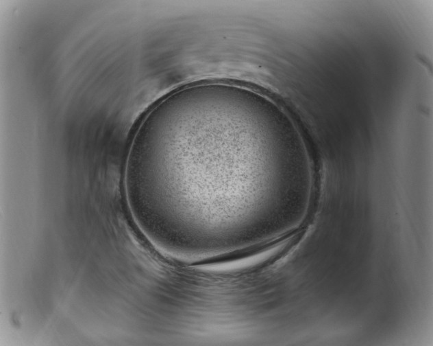 X0000099481505200805161122