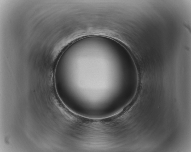 X0000099481507200805161122