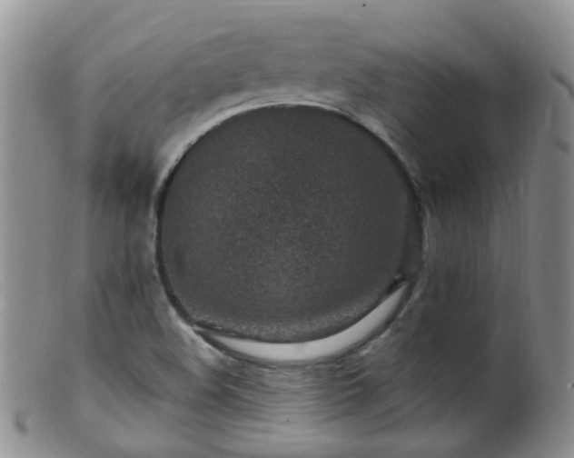 X0000099481508200805161122