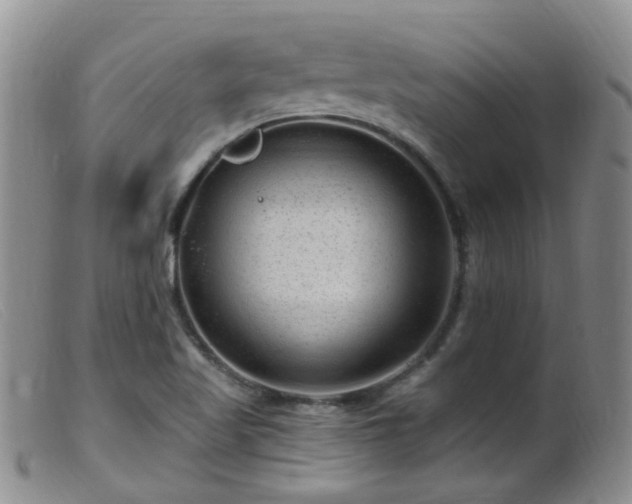 X0000099481509200805161122