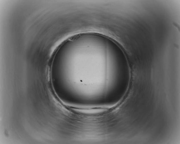 X0000099481510200805161122