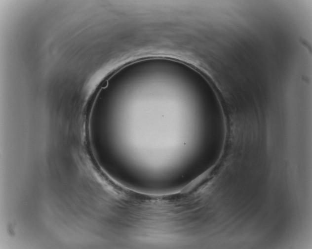 X0000099481511200805161122