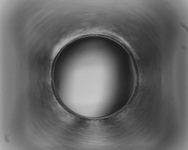 X0000099481512200805161122