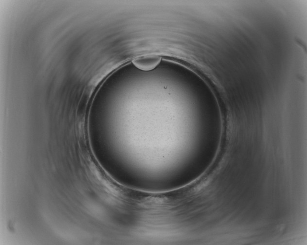 X0000099481513200805161122