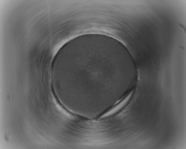 X0000099481515200805161122