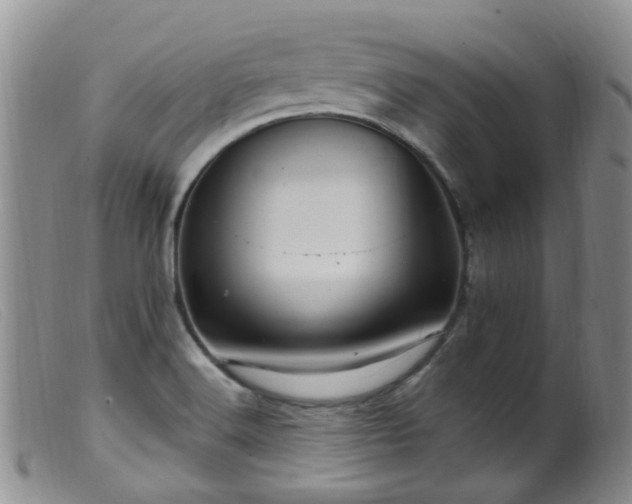 X0000099481516200805161122