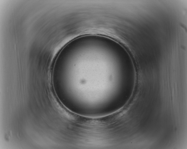 X0000099481517200805161122