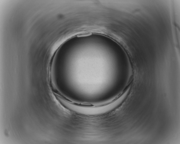 X0000099481520200805161122