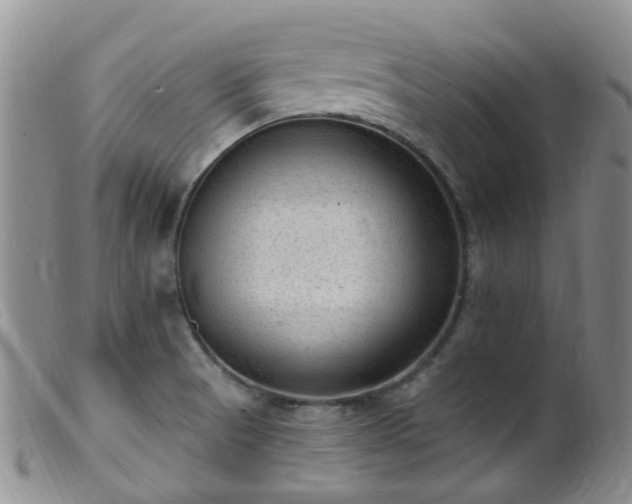 X0000099481521200805161122
