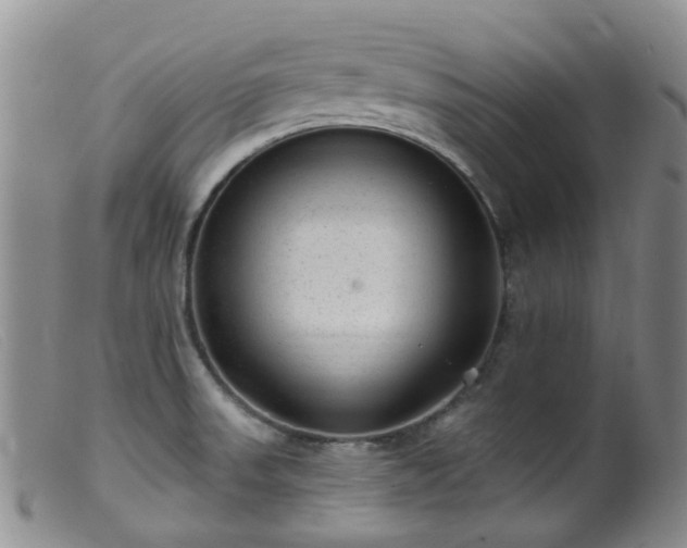 X0000099481523200805161122