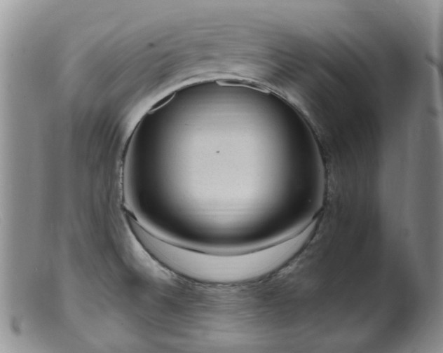 X0000099481524200805161122