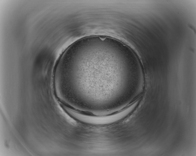 X0000099481525200805161122
