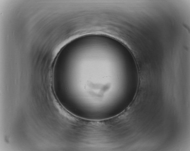X0000099481526200805161122