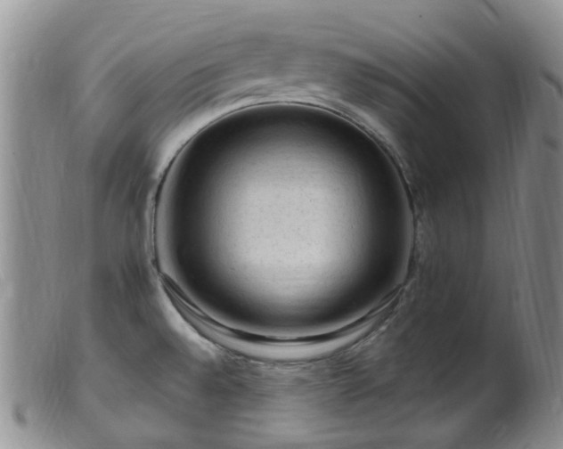 X0000099481528200805161123