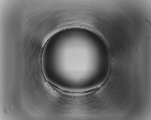 X0000099481530200805161123
