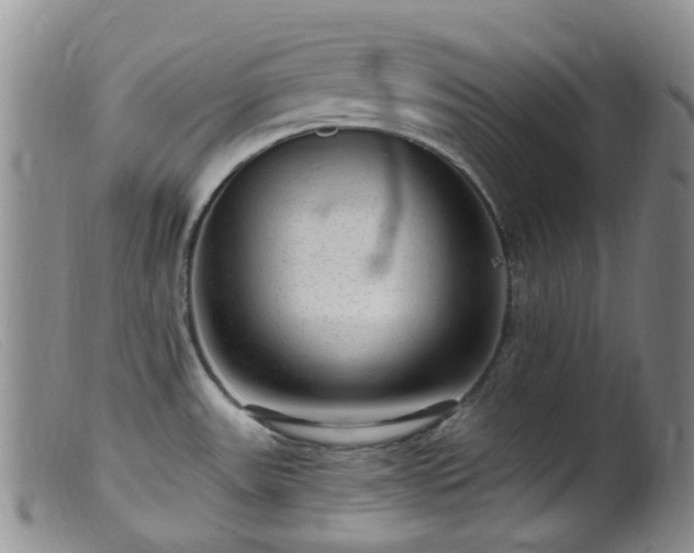 X0000099481531200805161123