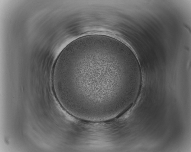 X0000099481533200805161123