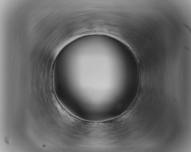 X0000099481534200805161123