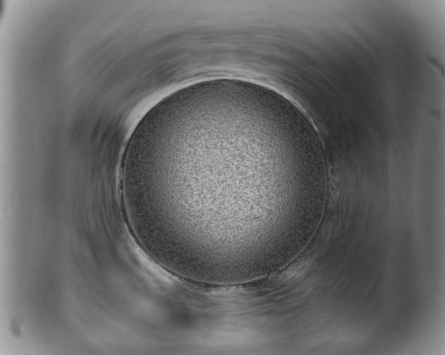 X0000099481535200805161123