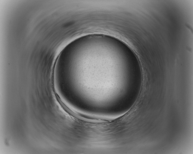 X0000099481536200805161123
