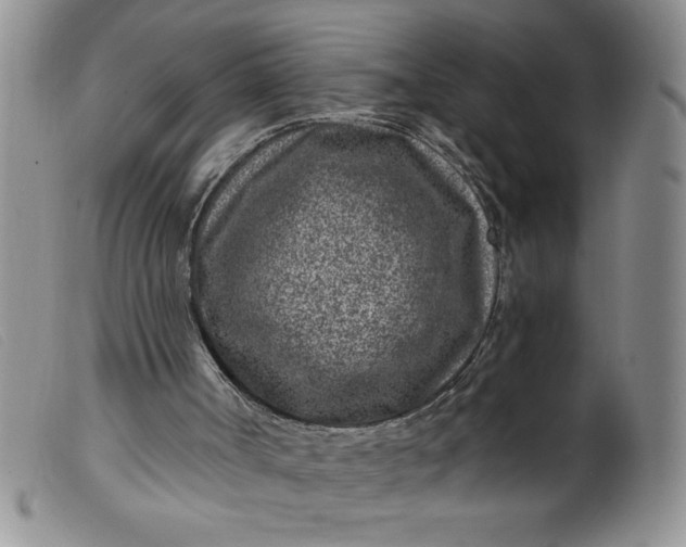 X0000099480002200805231906