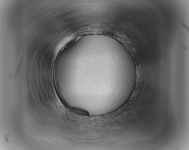 X0000099480003200805231906