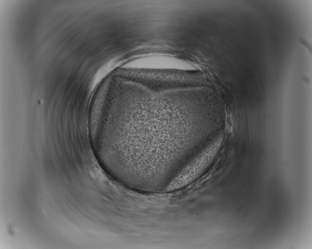 X0000099480004200805231906