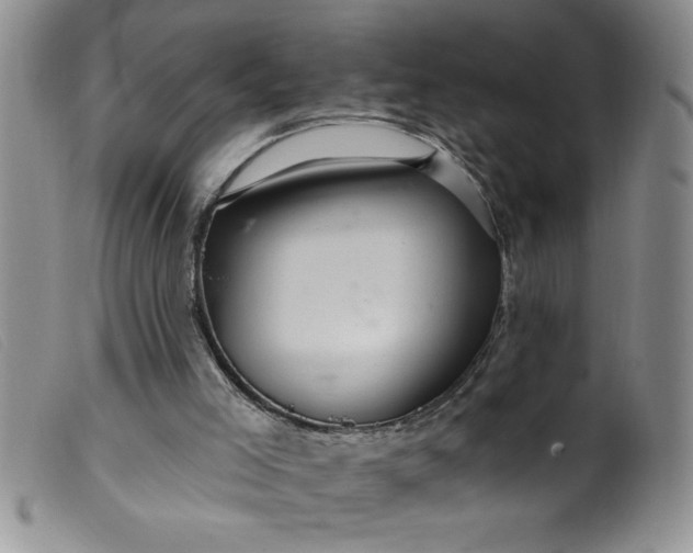 X0000099480005200805231906
