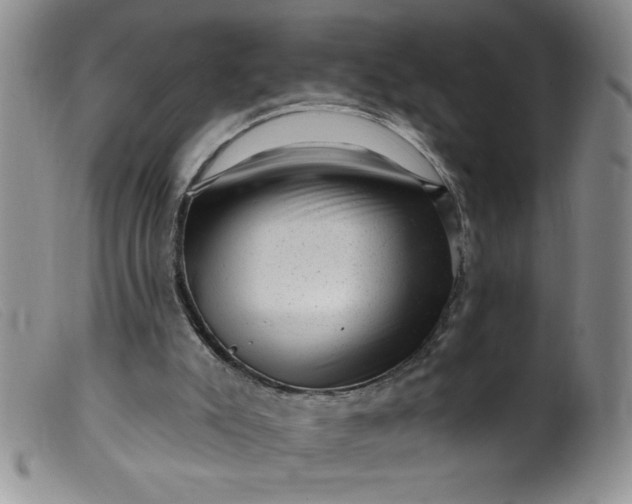 X0000099480007200805231906