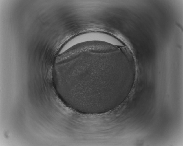 X0000099480009200805231906
