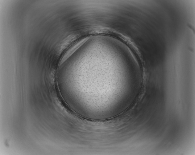 X0000099480010200805231906