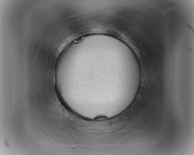 X0000099480011200805231906