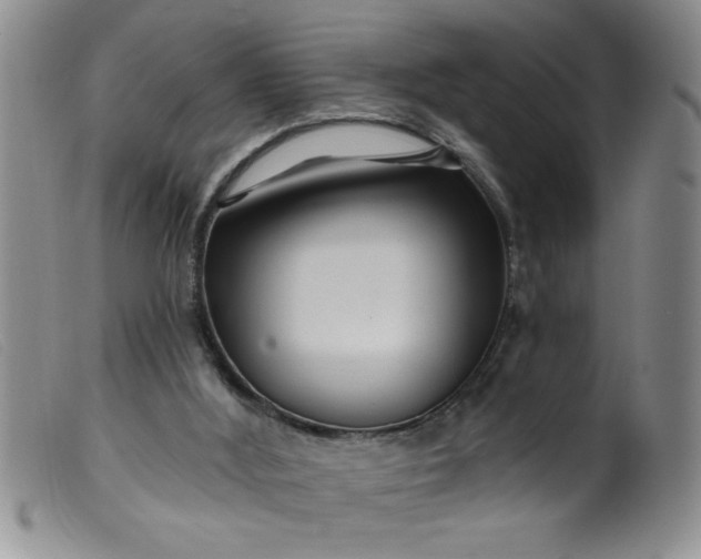 X0000099480012200805231906