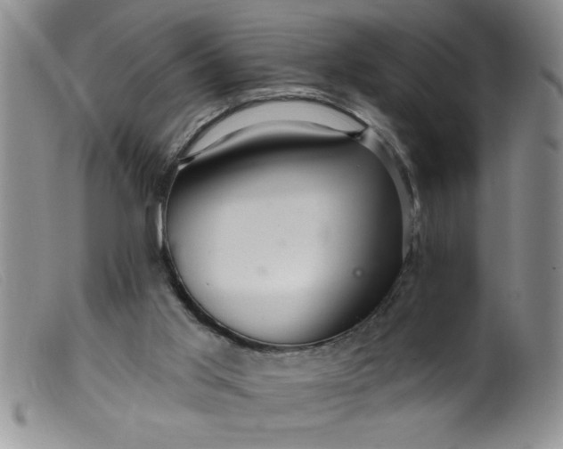 X0000099480013200805231906