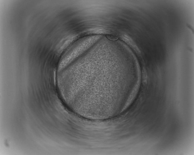 X0000099480014200805231906