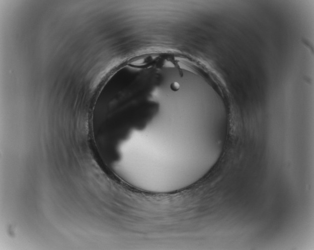 X0000099480015200805231906