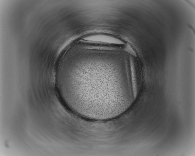 X0000099480016200805231906