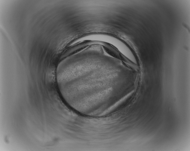 X0000099480017200805231906