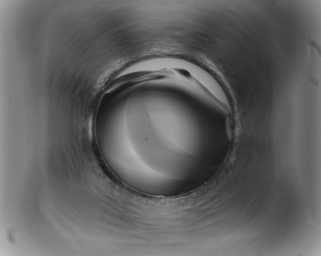 X0000099480019200805231906