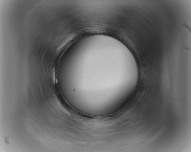 X0000099480020200805231906
