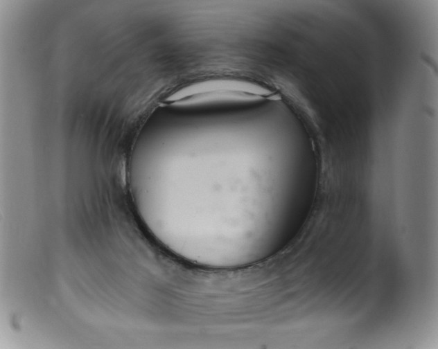 X0000099480021200805231906