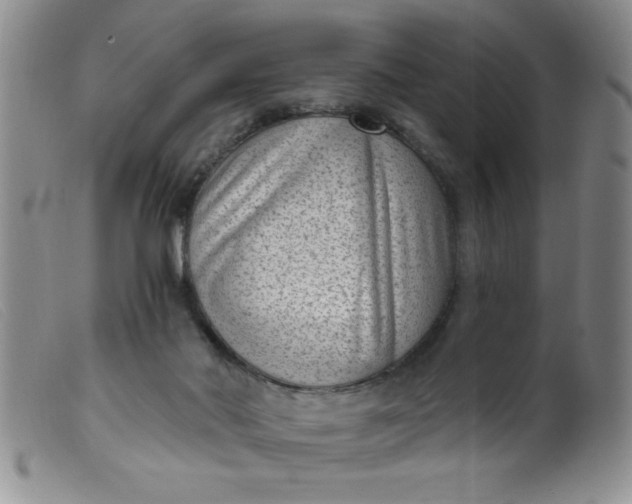X0000099480022200805231906